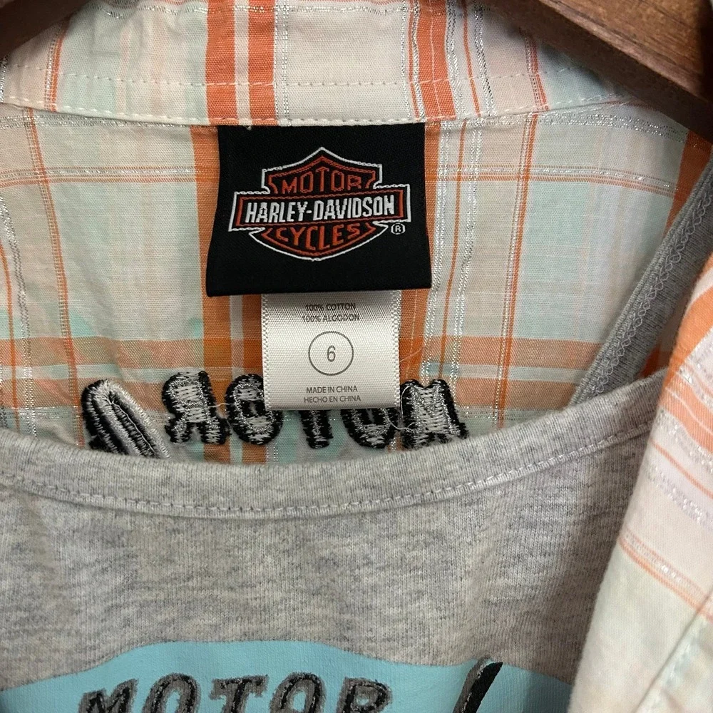 Harley-Davidson harley davidson